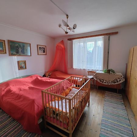Vinyl House Pension Strekov Buitenkant foto